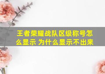 王者荣耀战队区级称号怎么显示 为什么显示不出来